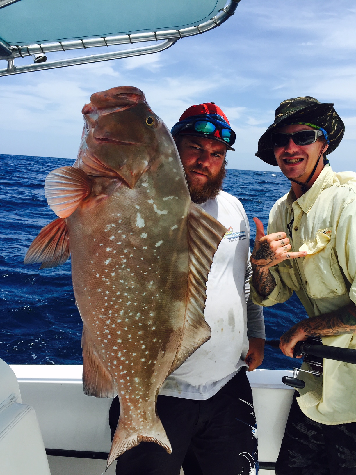FISH REPORTS  Captain Brian Morgan's Fishing Adventures - Tampa